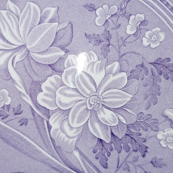 SPODE ARCHIVE COLLECTION, GEORGIAN SERIES 'BOTANICAL'  11-INCH PLATE - Picture 2 of 5